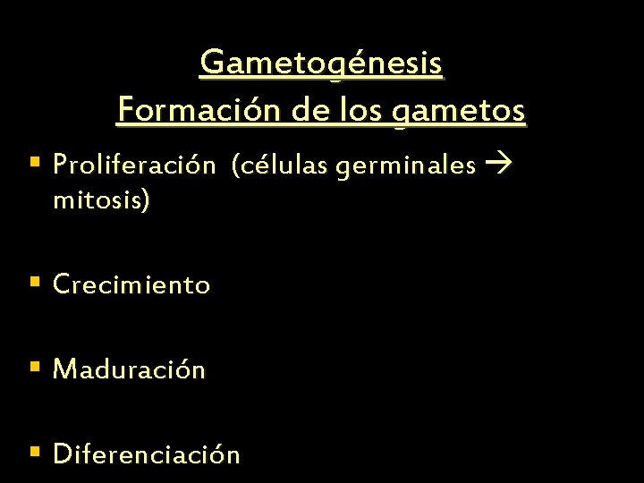 Gametogénesis Formación de los gametos § Proliferación (células germinales mitosis) § Crecimiento § Maduración