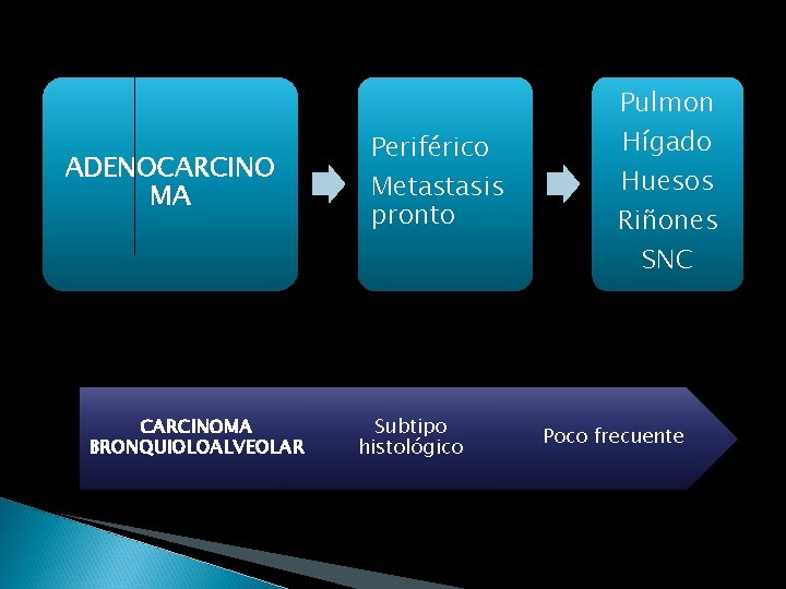 Pulmon ADENOCARCINO MA CARCINOMA BRONQUIOLOALVEOLAR Periférico Metastasis pronto Subtipo histológico Hígado Huesos Riñones SNC