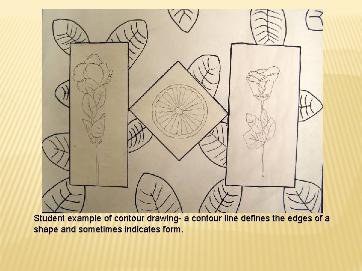 Student example of contour drawing- a contour line defines the edges of a shape