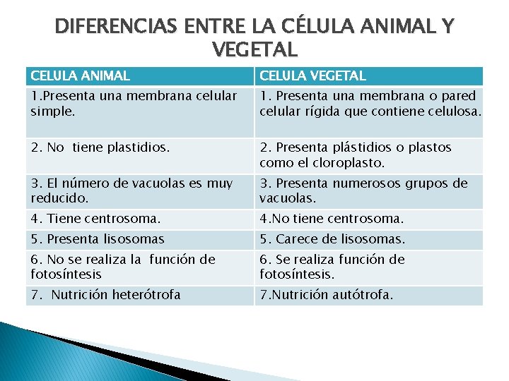 DIFERENCIAS ENTRE LA CÉLULA ANIMAL Y VEGETAL CELULA ANIMAL CELULA VEGETAL 1. Presenta una