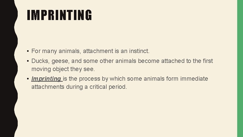 IMPRINTING • For many animals, attachment is an instinct. • Ducks, geese, and some