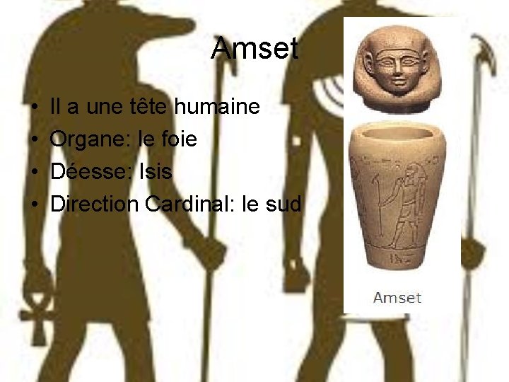 Amset • • Il a une tête humaine Organe: le foie Déesse: Isis Direction