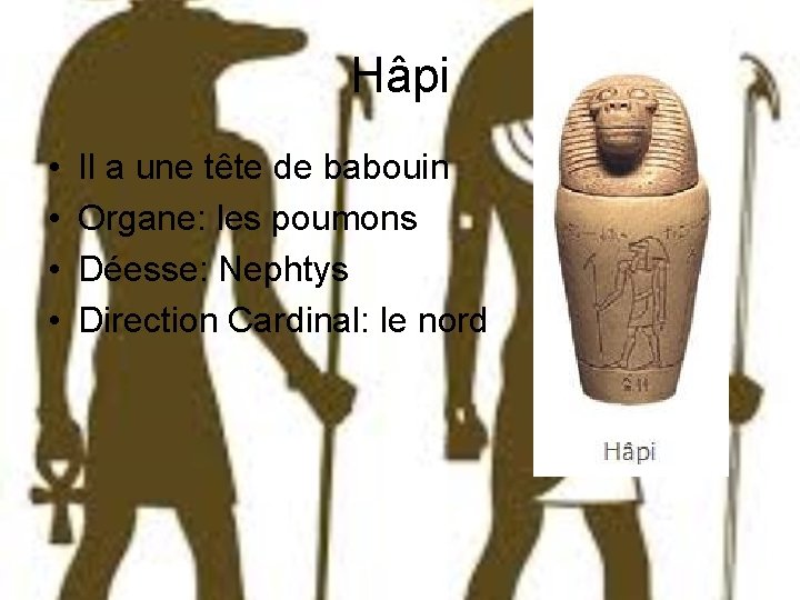 Hâpi • • Il a une tête de babouin Organe: les poumons Déesse: Nephtys