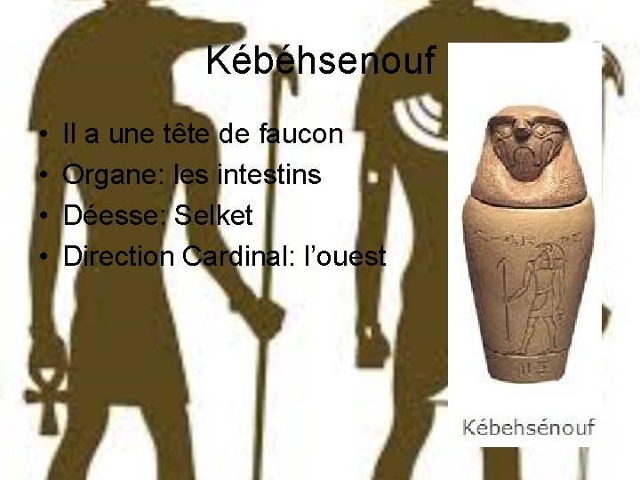 Kébéhsenouf • • Il a une tête de faucon Organe: les intestins Déesse: Selket