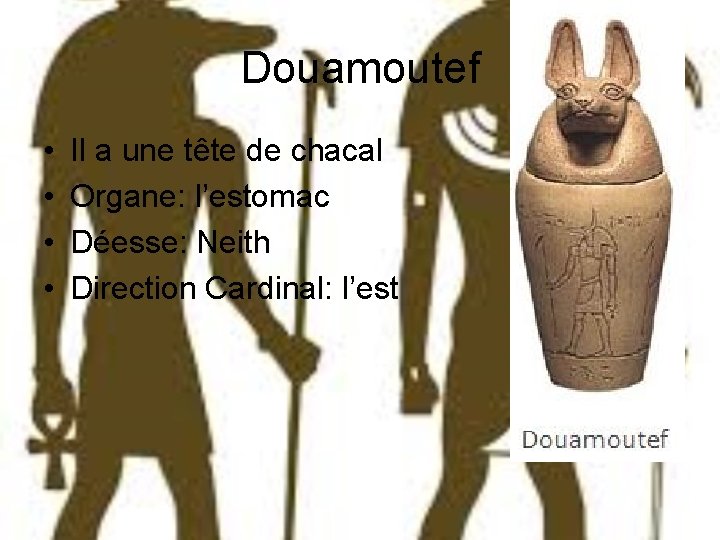 Douamoutef • • Il a une tête de chacal Organe: l’estomac Déesse: Neith Direction