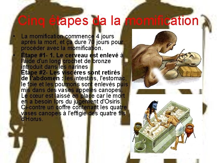 Cinq étapes da la momification • La momification commence 4 jours après la mort,