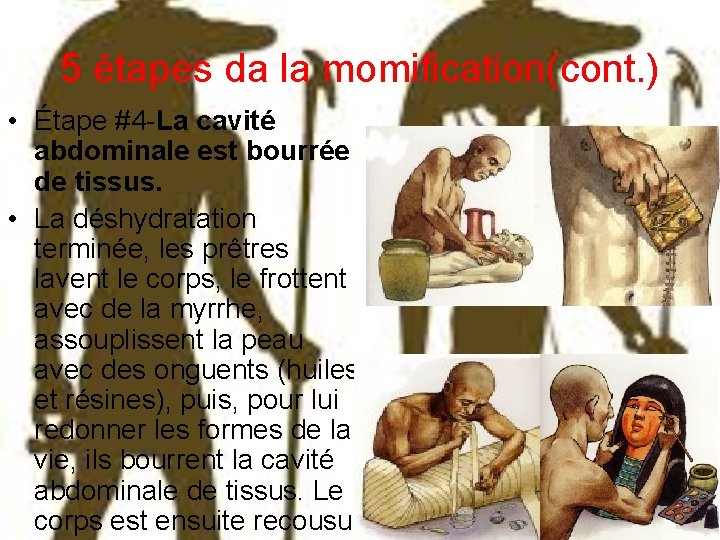 5 étapes da la momification(cont. ) • Étape #4 -La cavité abdominale est bourrée