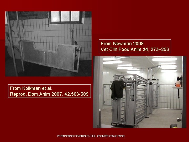 From Newman 2008 Vet Clin Food Anim 24, 273– 293 From Kolkman et al.