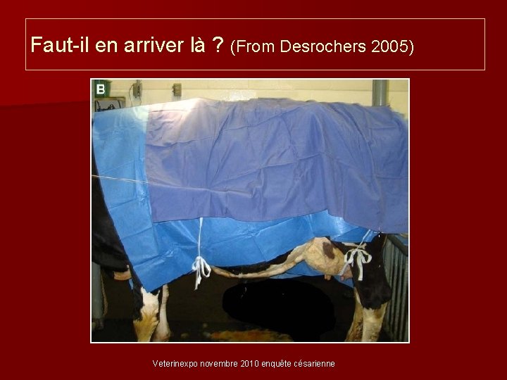 Faut-il en arriver là ? (From Desrochers 2005) Veterinexpo novembre 2010 enquête césarienne 