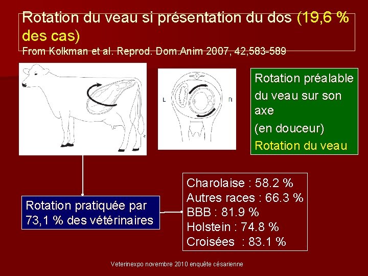 Rotation du veau si présentation du dos (19, 6 % des cas) From Kolkman