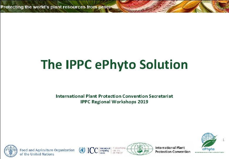 The IPPC e. Phyto Solution International Plant Protection Convention Secretariat IPPC Regional Workshops 2019