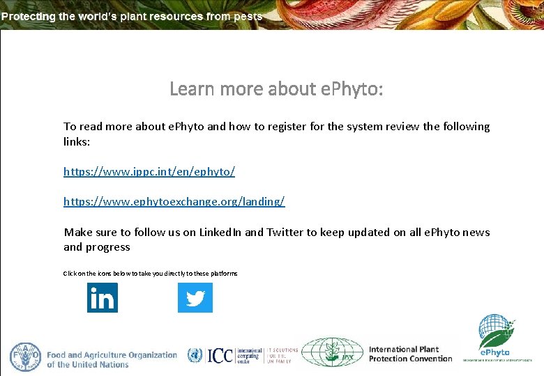 Learn more about e. Phyto: To read more about e. Phyto and how to