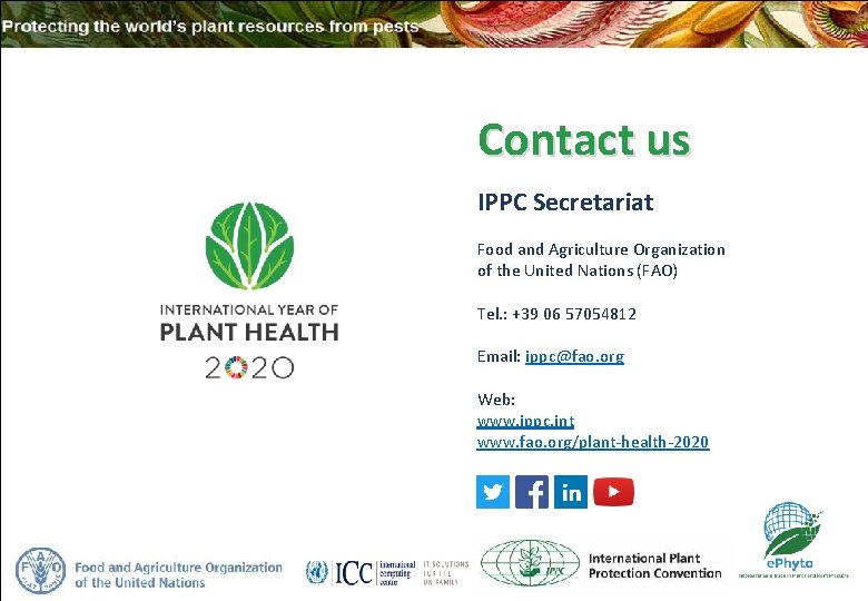 Contact us IPPC Secretariat Food and Agriculture Organization of the United Nations (FAO) Tel.