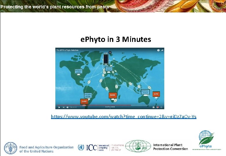 e. Phyto in 3 Minutes https: //www. youtube. com/watch? time_continue=2&v=gj. Dz 7 a. Ov-Ys