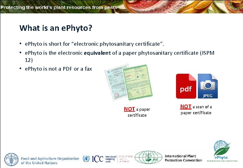 What is an e. Phyto? • e. Phyto is short for “electronic phytosanitary certificate”.