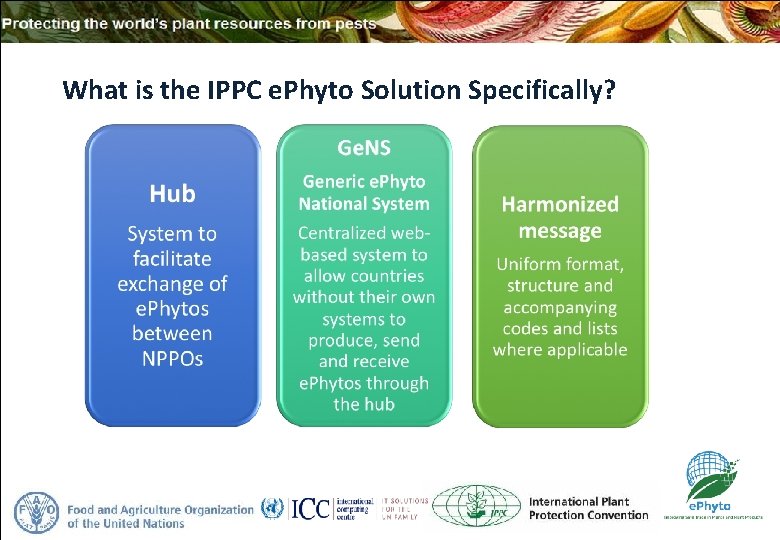 What is the IPPC e. Phyto Solution Specifically? 