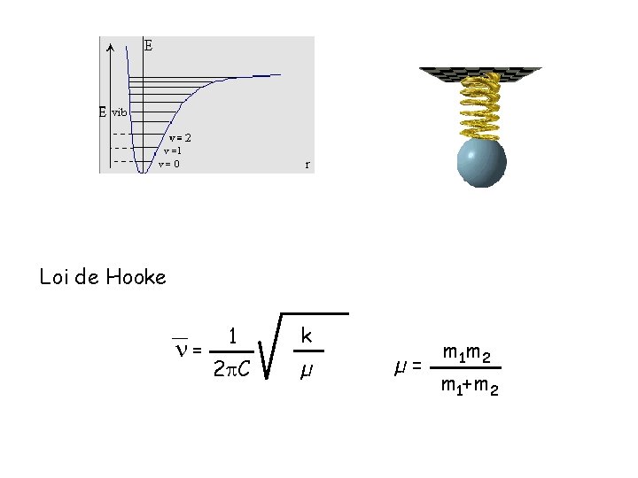 Loi de Hooke = 1 k 2 C µ µ= m 1 m 2