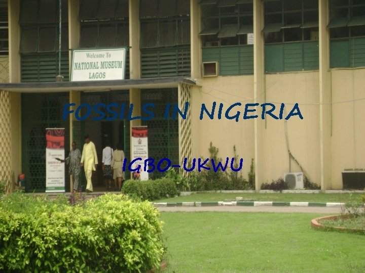 FOSSILS IN NIGERIA IGBO-UKWU FOSSILS IN NIGERIA IGBO-UKWU