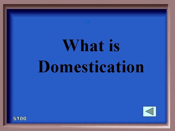 1 - 100 2 -100 A What is Domestication 