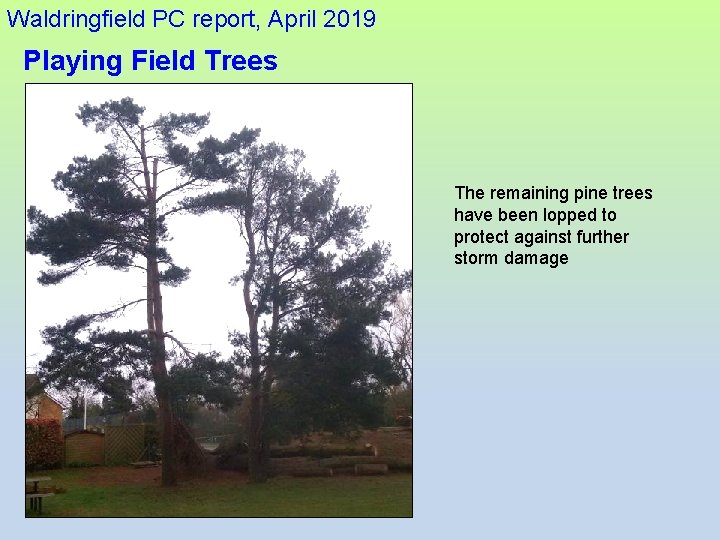 Waldringfield PC report, April 2019 Playing Field Trees The remaining pine trees have been