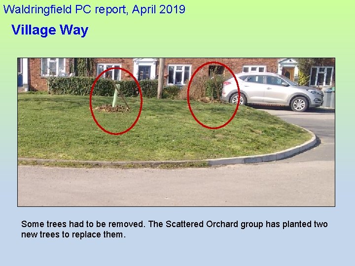 Waldringfield PC report, April 2019 Village Way Some trees had to be removed. The