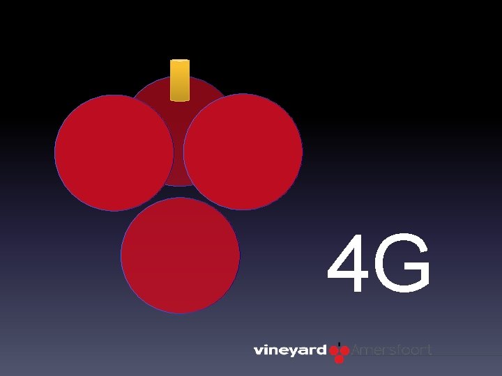 4 G 