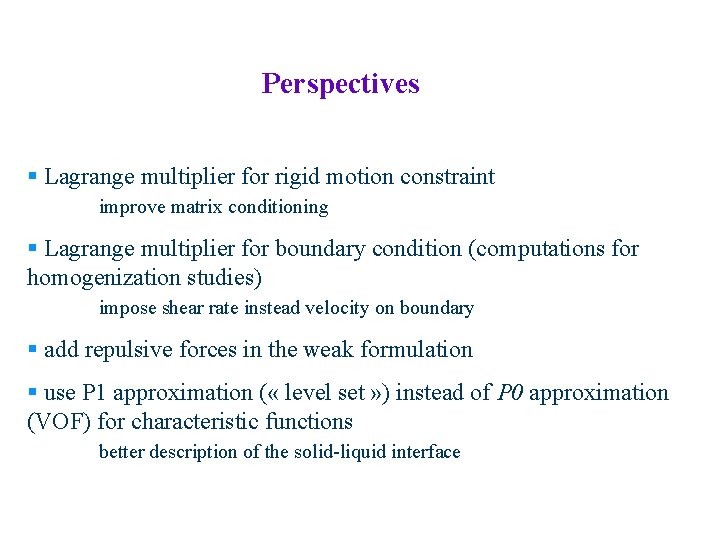 Perspectives § Lagrange multiplier for rigid motion constraint improve matrix conditioning § Lagrange multiplier Perspectives § Lagrange multiplier for rigid motion constraint improve matrix conditioning § Lagrange multiplier