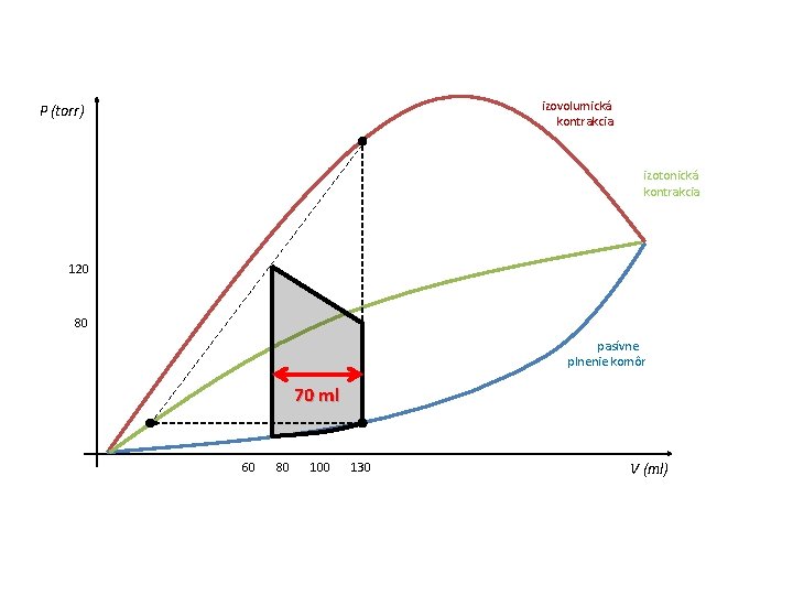 izovolumická kontrakcia P (torr) izotonická kontrakcia 120 80 pasívne plnenie komôr 70 ml 60