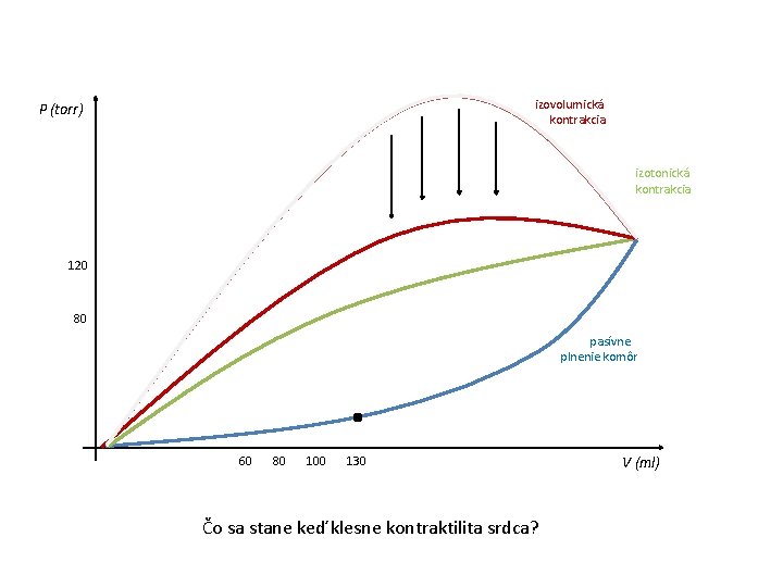 izovolumická kontrakcia P (torr) izotonická kontrakcia 120 80 pasívne plnenie komôr 60 80 100