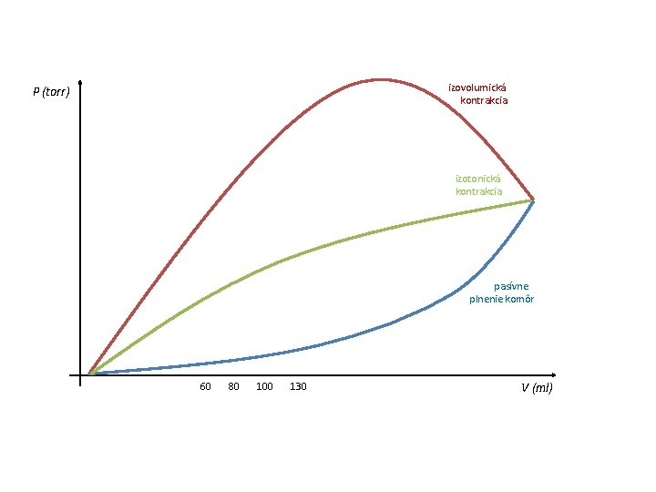 izovolumická kontrakcia P (torr) izotonická kontrakcia pasívne plnenie komôr 60 80 100 130 V