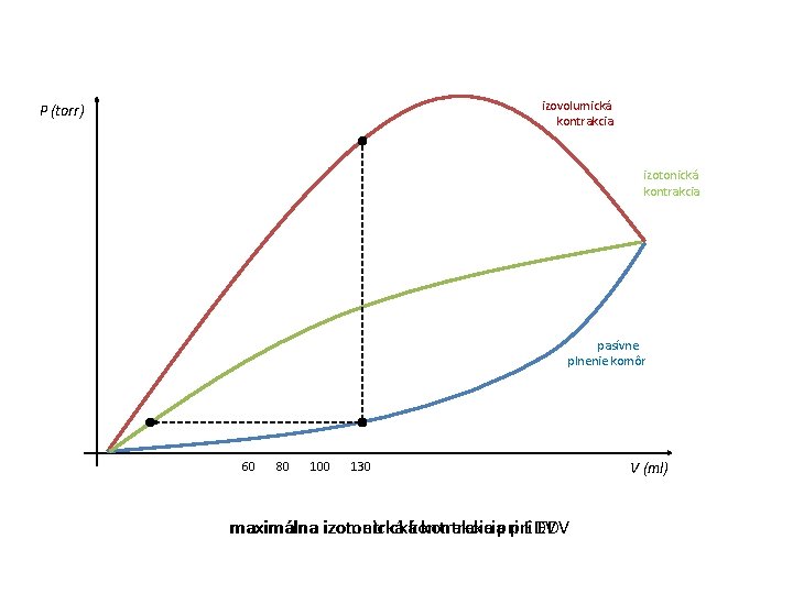 izovolumická kontrakcia P (torr) izotonická kontrakcia pasívne plnenie komôr 60 80 100 130 maximálna