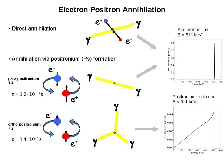 Electron Positron Annihilation e+ • Direct annihilation g g e- Annihilation line E = Electron Positron Annihilation e+ • Direct annihilation g g e- Annihilation line E =