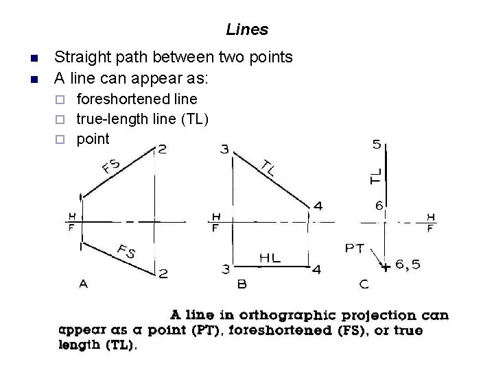 Lines n n Straight path between two points A line can appear as: foreshortened