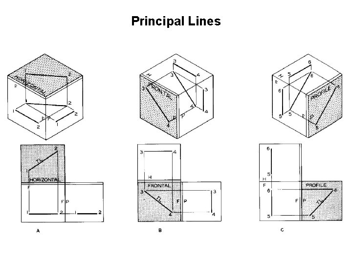Principal Lines 