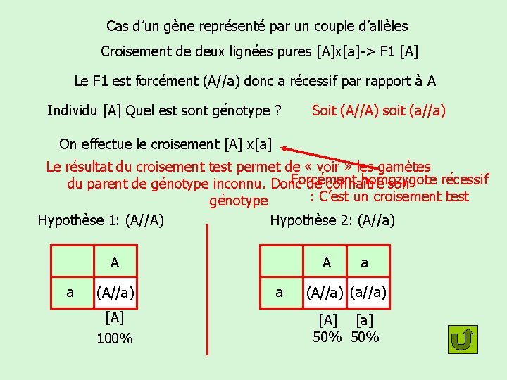 Cas d’un gène représenté par un couple d’allèles Croisement de deux lignées pures [A]x[a]->