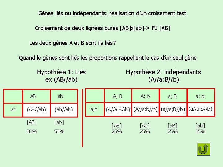 Gènes liés ou indépendants: réalisation d’un croisement test Croisement de deux lignées pures [AB]x[ab]->