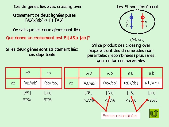 Cas de gènes liés avec crossing over Les F 1 sont forcément Croisement de