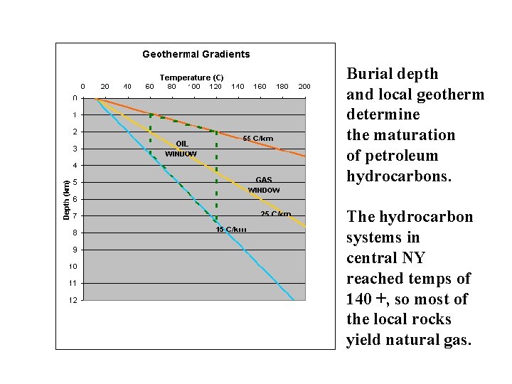 Burial depth and local geotherm determine the maturation of petroleum hydrocarbons. The hydrocarbon systems