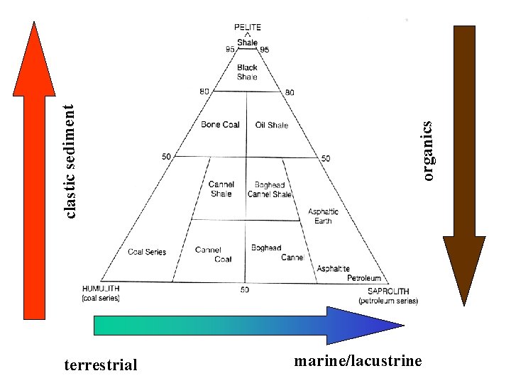 organics clastic sediment terrestrial marine/lacustrine 