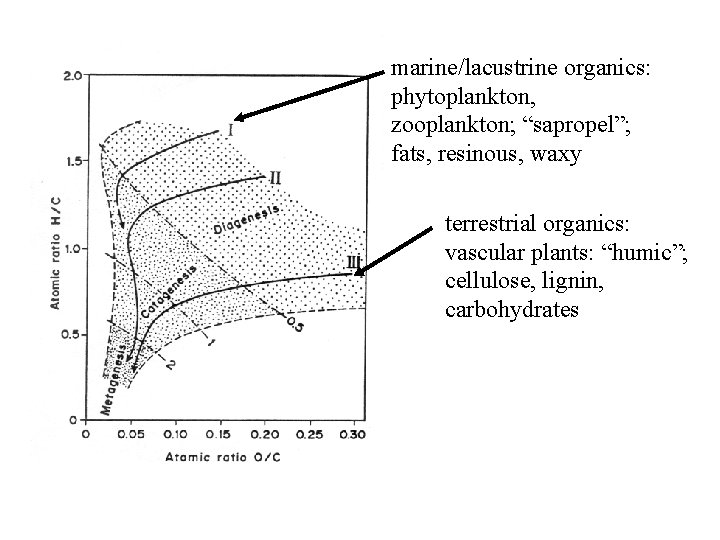 marine/lacustrine organics: phytoplankton, zooplankton; “sapropel”; fats, resinous, waxy terrestrial organics: vascular plants: “humic”; cellulose,