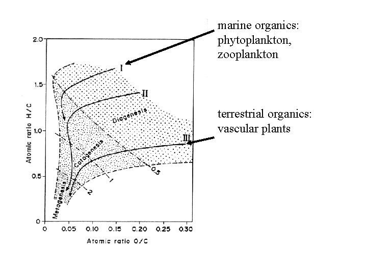 marine organics: phytoplankton, zooplankton terrestrial organics: vascular plants 