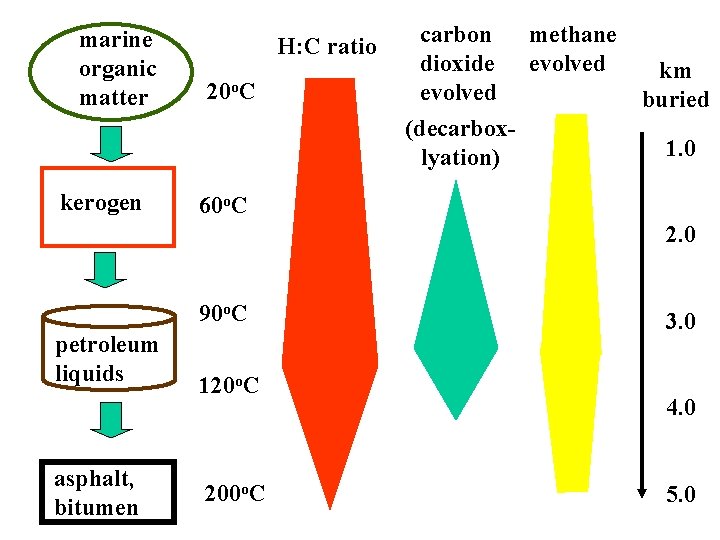 marine organic matter H: C ratio 20 o. C carbon dioxide evolved (decarboxlyation) kerogen