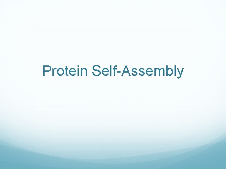 Protein Self-Assembly 