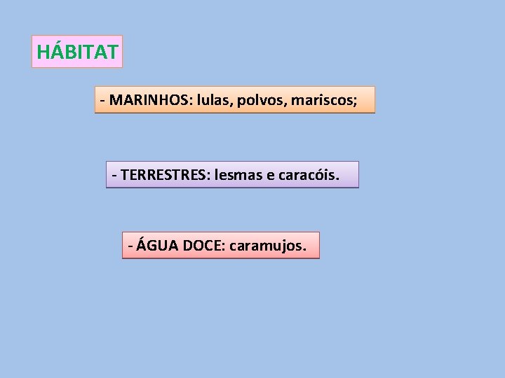 HÁBITAT - MARINHOS: lulas, polvos, mariscos; - TERRESTRES: lesmas e caracóis. - ÁGUA DOCE: