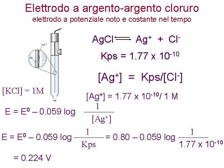 Elettrodo a argento-argento cloruro elettrodo a potenziale noto e costante nel tempo Ag. Cl