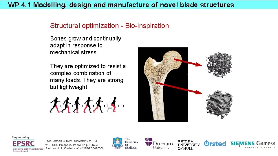 WP 4. 1 Modelling, design and manufacture of novel blade structures Structural optimization -