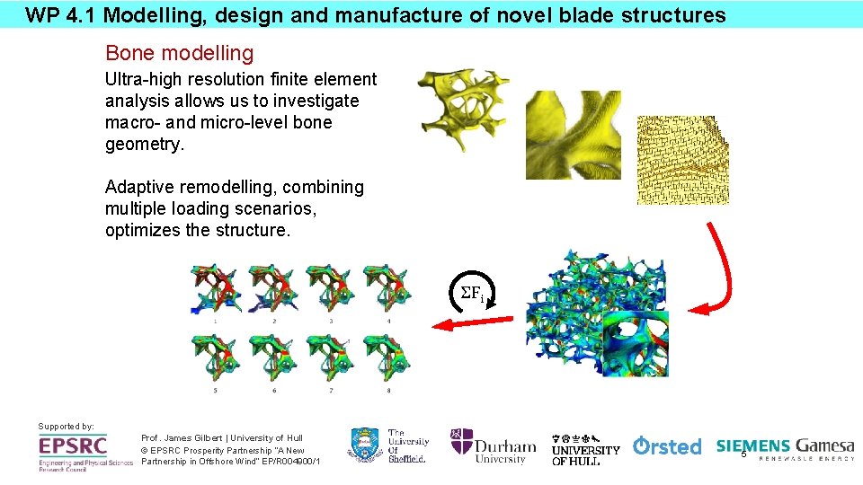 WP 4. 1 Modelling, design and manufacture of novel blade structures Bone modelling Ultra-high