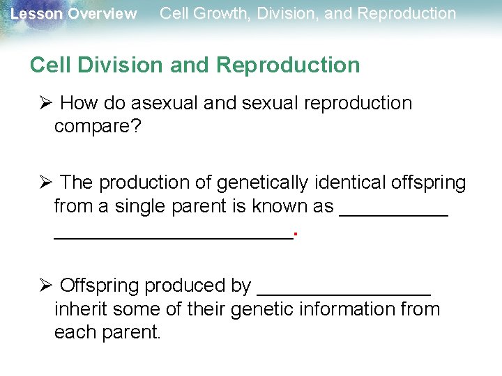 Lesson Overview Cell Growth, Division, and Reproduction Cell Division and Reproduction Ø How do