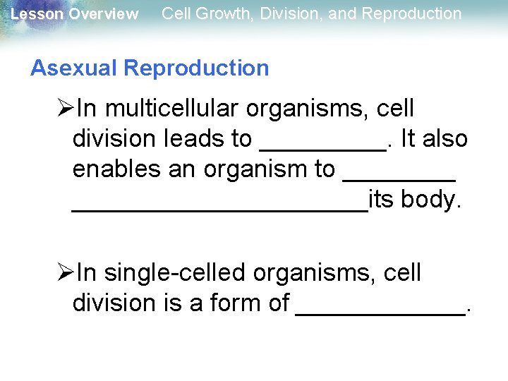 Lesson Overview Cell Growth, Division, and Reproduction Asexual Reproduction ØIn multicellular organisms, cell division