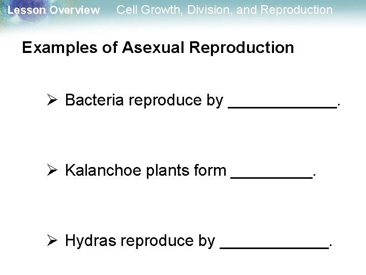 Lesson Overview Cell Growth, Division, and Reproduction Examples of Asexual Reproduction Ø Bacteria reproduce
